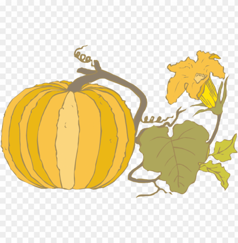 vector pumpkin with leaves autumn wall Isolated Subject in HighResolution PNG PNG transparent with Clear Background ID 0c9047dc