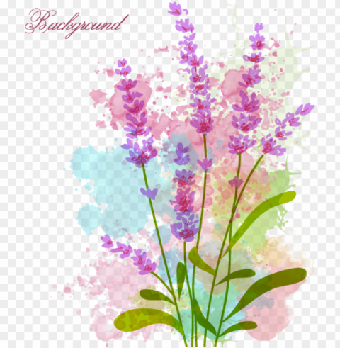 vector stock watercolor flowers vector material transprent - watercolor flower Isolated Illustration with Clear Background PNG