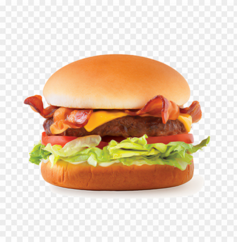 veggie delight burger - mexican burger PNG with no background diverse variety