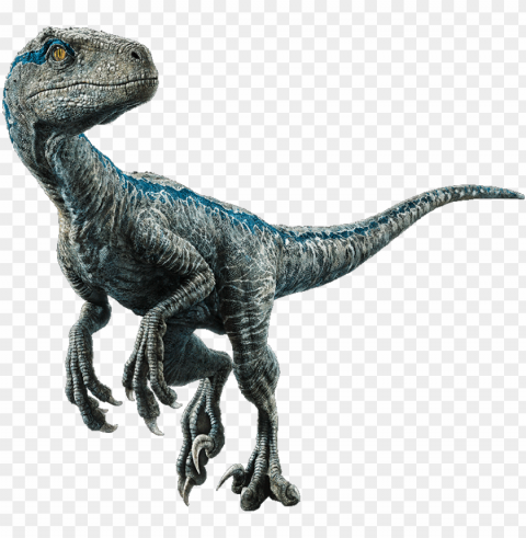 velociraptor - jurassic world el reino caído dinosaurios Isolated Design Element on PNG