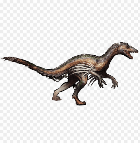 velociraptor troodon survival evolved tyrannosaurus - ark troodo Isolated Element on Transparent PNG