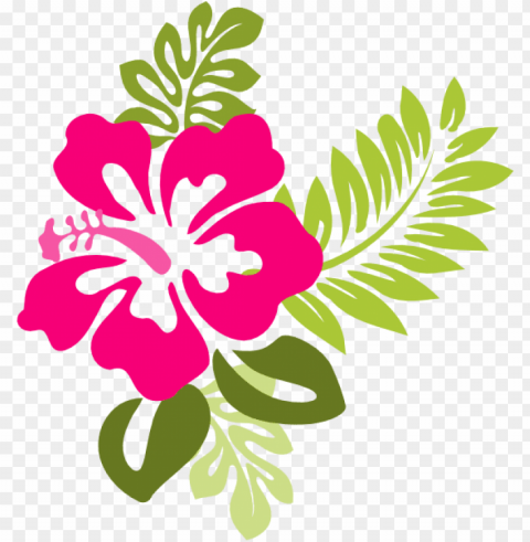 very best clipart flower free hibiscus clipart collection - hibiscus flower clipart PNG with transparent backdrop