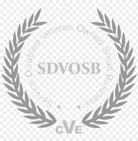 veterans health equipment llc rh com sdvosb logo vector - service-disabled veteran-owned small business Free PNG