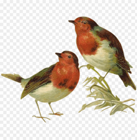 victorian birds Isolated Element in Transparent PNG