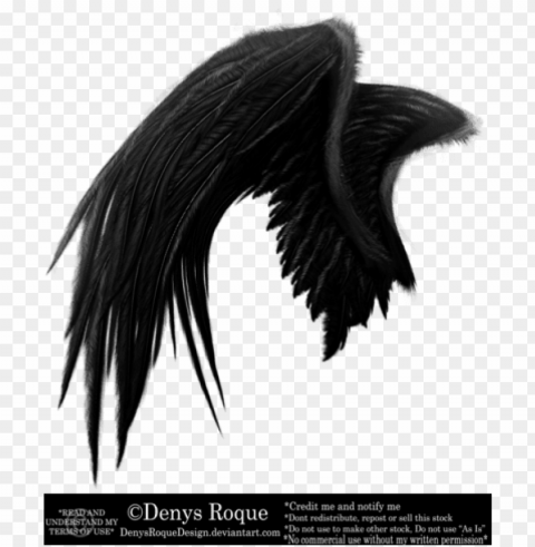 vieja versión ala negra por denysroquedesign alas negras - ala de angel negra PNG images with clear cutout