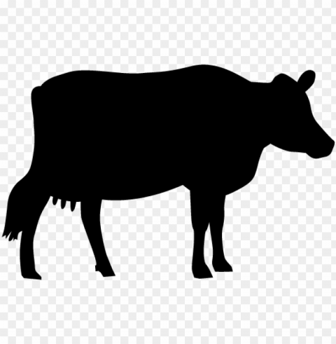 view all -1 - dairy cow Transparent PNG images wide assortment