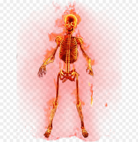 view samegoogleiqdbsaucenao flaming skeleton tran HighQuality PNG Isolated on Transparent Background