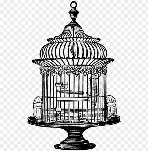 vintage bird cage drawing Transparent PNG images with high resolution