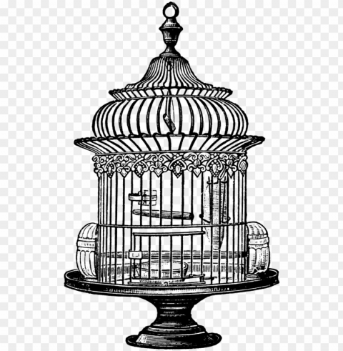 Vintage Bird Cage Drawing Transparent PNG Images With High Resolution