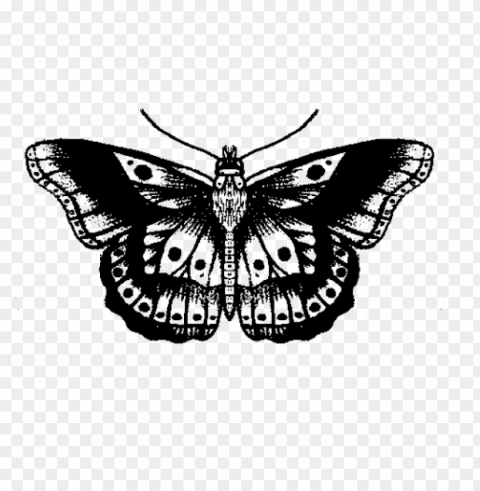 vintage butterfly tattoo PNG without background PNG transparent with Clear Background ID e03e1abf