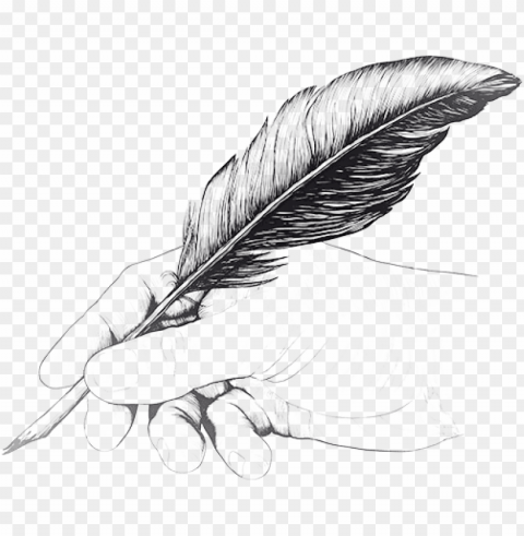 vintage drawing of hand with feather pen - drawing of hand holding a pe PNG images alpha transparency