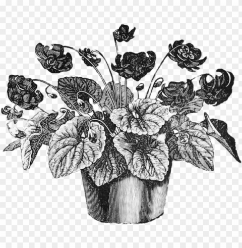 vintage flower pot illustratio PNG Image with Transparent Cutout