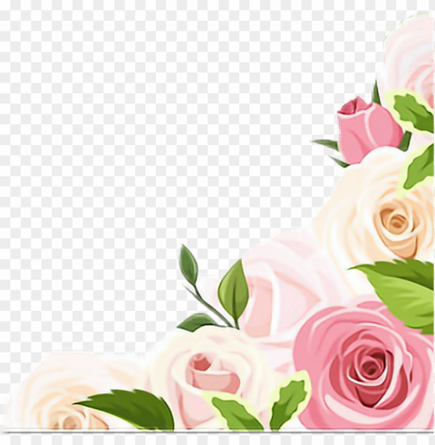 vintage sticker - fondo con rosas rosas Isolated Artwork on Transparent Background