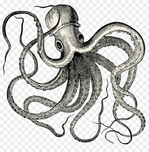 vintate octopus tattoo Transparent art PNG
