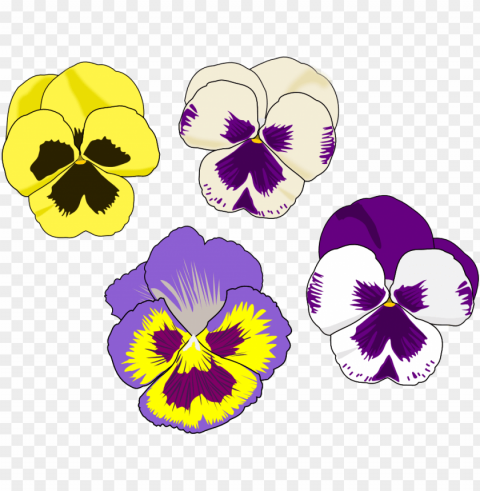 violet family pansy viola violet flowering plant - pansy flower clip art ClearCut Background PNG Isolated Element