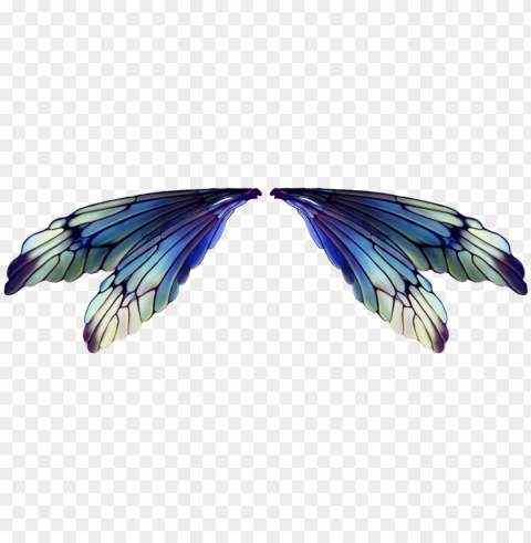 visit - fairy wings background Isolated Illustration in HighQuality Transparent PNG