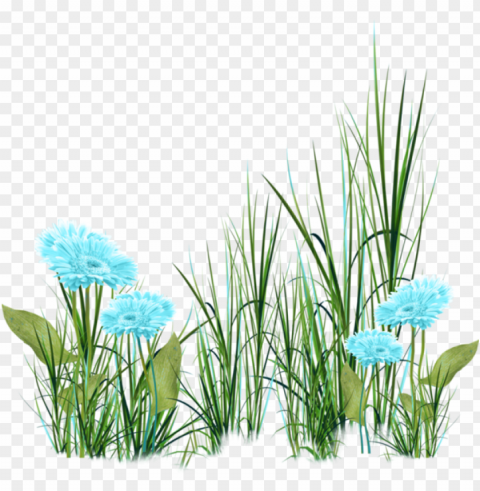 visit - imagens de grama e flores Isolated Artwork on Clear Transparent PNG