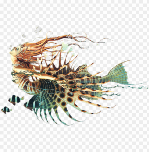 visit - lionfish mermaid Isolated Design on Clear Transparent PNG
