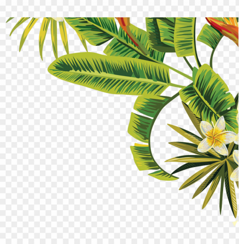 visit - transparent tropical leaves PNG Image with Isolated Subject