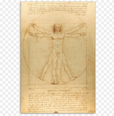 Vitruvian Man - Da Vinci - Virtivian War Leonardo Da Vinci Transparent PNG Image Free