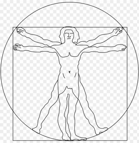 vitruvian man outline sv Transparent Background PNG Isolated Graphic
