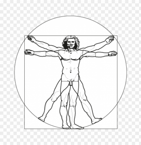 vitruvian vector free download Isolated Graphic on Transparent PNG