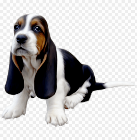 vous trouverez de belles images pour vos blogs cute - basset hound dad throw blanket Clear Background PNG Isolated Item
