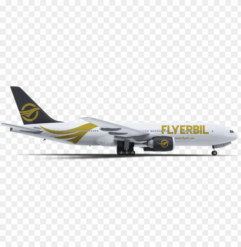 w - fly erbil HighResolution PNG Isolated Artwork