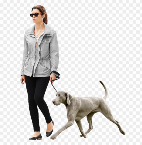 walking dog HighQuality Transparent PNG Isolation PNG transparent with Clear Background ID 18d6753e