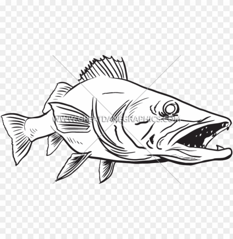 wall eye fish drawing Transparent PNG images wide assortment