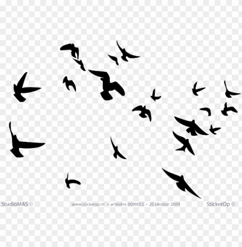 wallhogs soaring birds silhouette wall decal PNG files with no background bundle