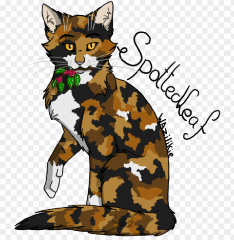 warriors drawing spottedleaf - warrior cats spottedleaf Clear Background Isolated PNG Icon PNG transparent with Clear Background ID d178b147