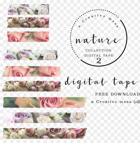 washi tape - printable washi tape nature HighQuality PNG with Transparent Isolation