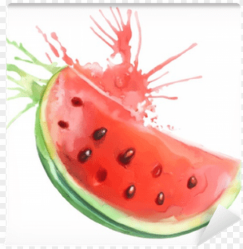 Wassermelone Watercolor PNG With Clear Background Extensive Compilation