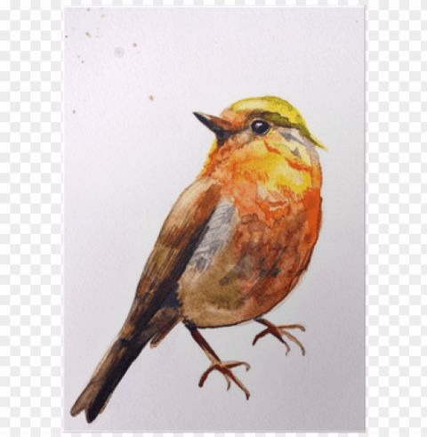water colour painting bird fly Transparent PNG photos for projects