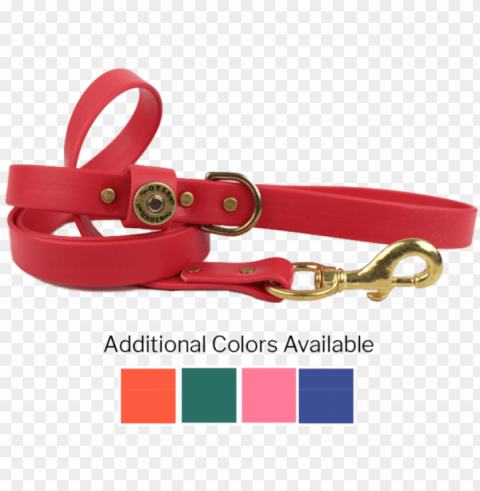 water dog leash - do Transparent PNG Isolated Object Design