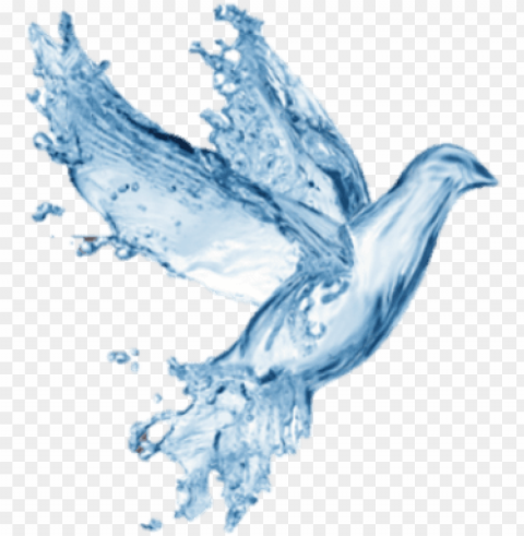water dove image - prince roger nelson ri PNG files with no background assortment