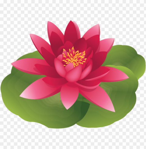 water lily Isolated Artwork in HighResolution Transparent PNG