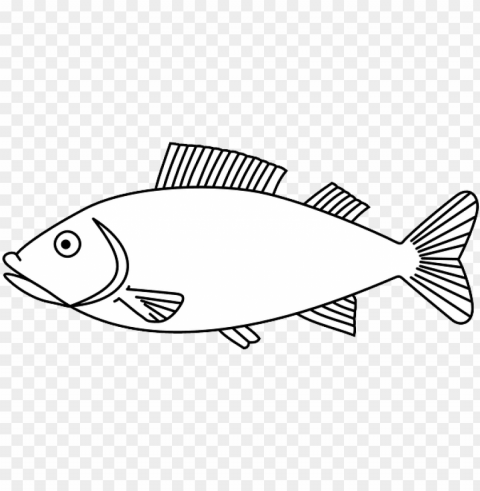 water outline white fish animal sea fishes - fish coloring page Clear PNG pictures comprehensive bundle