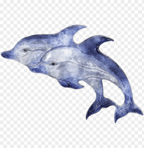 watercolor animaltransparent HighResolution PNG Isolated Illustration