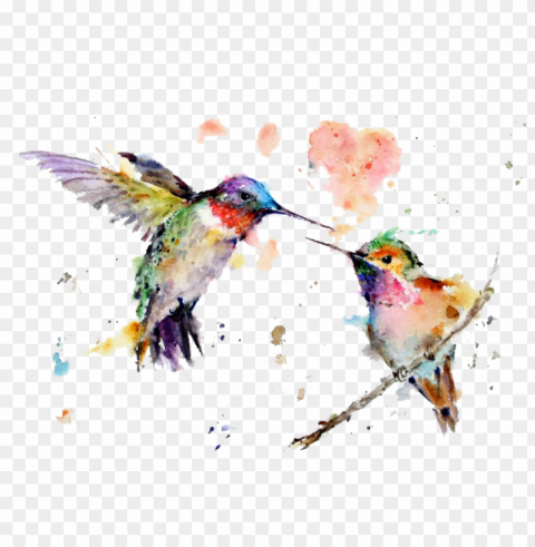 watercolor art painting drawing hummingbird free transparent - kolibri aquarell Clear background PNGs