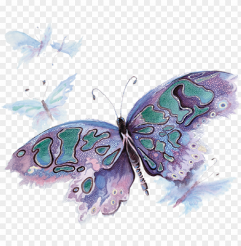 watercolor butterfly - pink and purple watercolor butterfly PNG Image with Isolated Icon