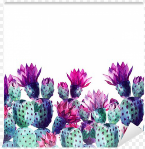 watercolor cactus - watercolor cactus flowers vector Isolated Character in Transparent PNG