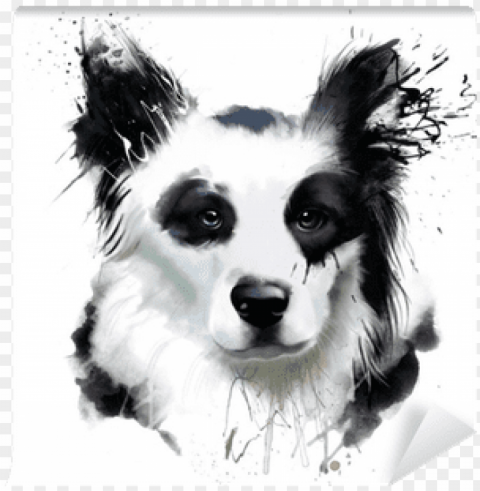 watercolor dog portrait of a border collie closeup - watercolor painti Transparent PNG graphics bulk assortment
