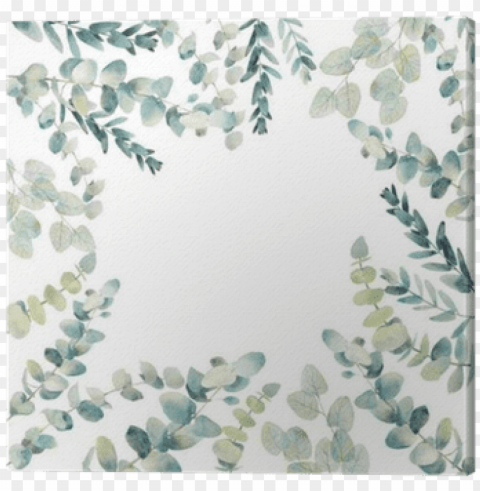 watercolor eucalyptus Transparent Background PNG Isolated Icon