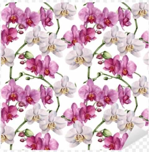 watercolor floral pattern with orchids - desi Isolated Element in Transparent PNG