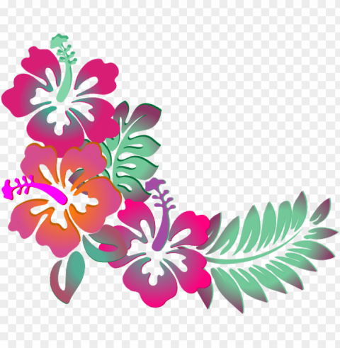watercolor flowers border - clipart hibiscus PNG graphics with transparency