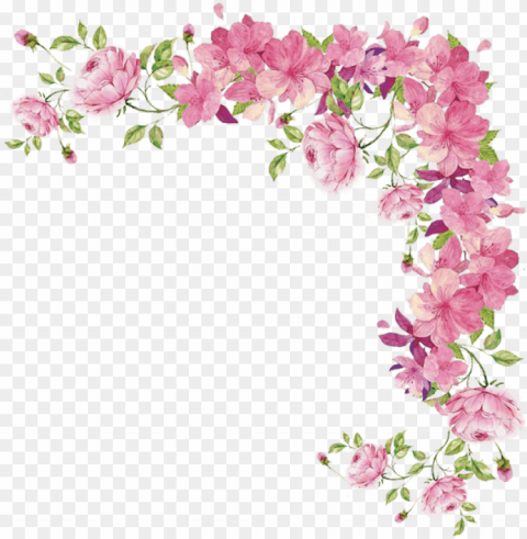 watercolor flowers transparent - pink flower border Clear Background Isolated PNG Illustration