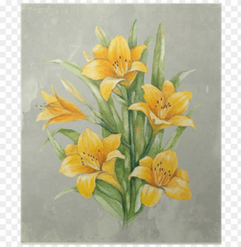watercolor illustration of lily flower - watercolor painti PNG transparent elements compilation
