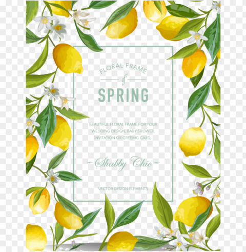 watercolor lemon border Clear Background PNG Isolated Item